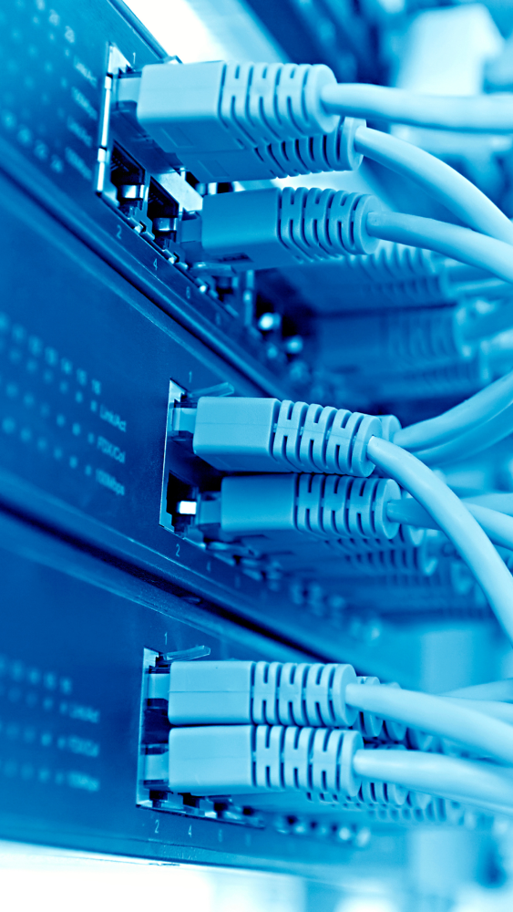 Cables de red conectados a un switch
